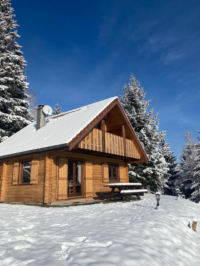 Chalet De La Grimpette Au Coeur De Gerardmer Exterior photo